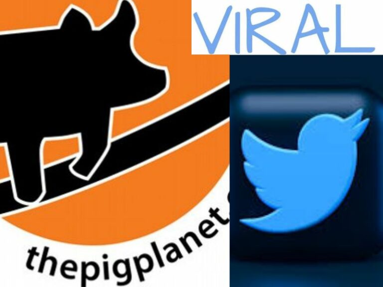 Get to know the reasons why Planetpig’s video went viral on social media, Details explored!